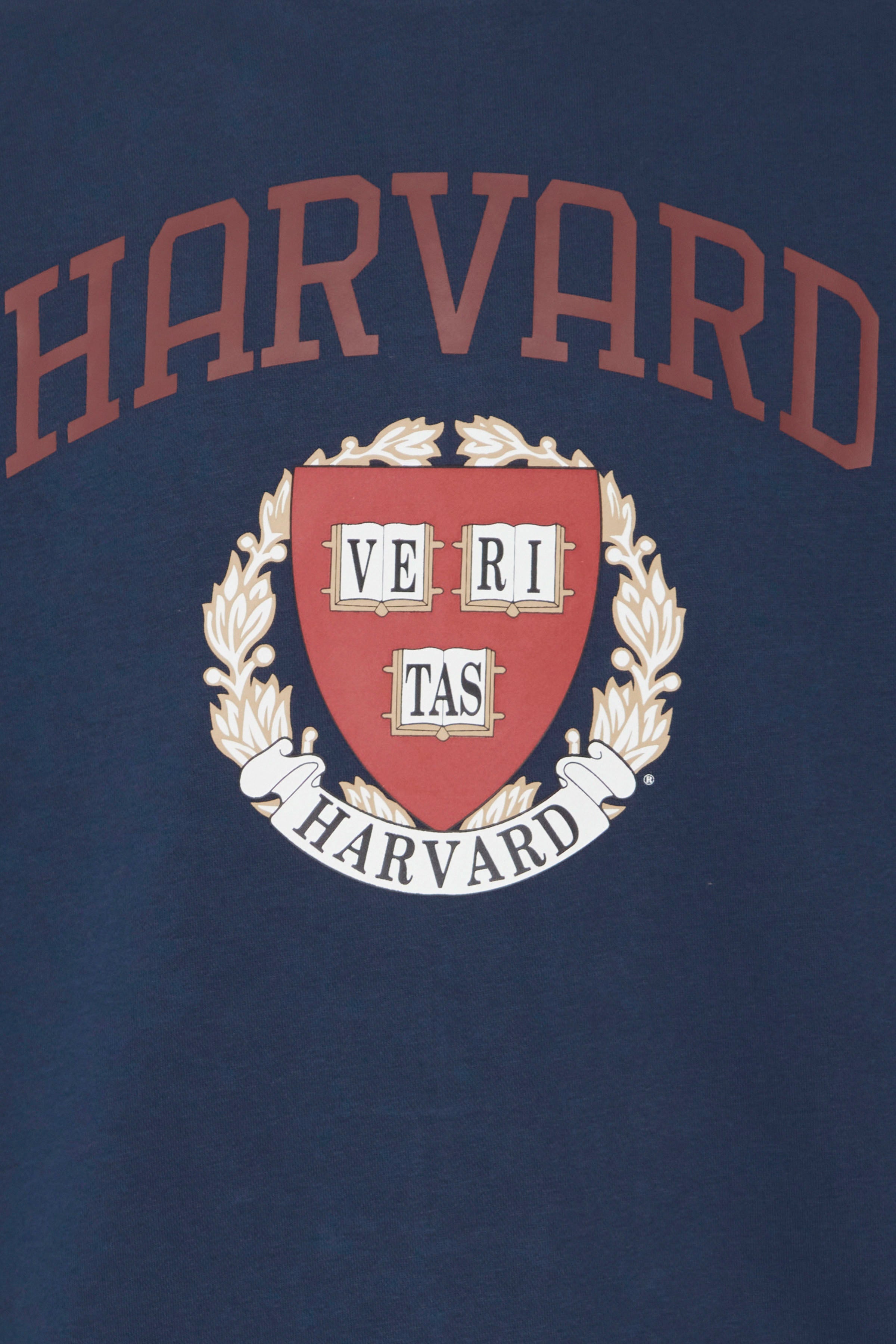 BLEND HARVARD Sweatshirt Pullover Rundhals - Midnight Crest - 20716638194024 von Blend