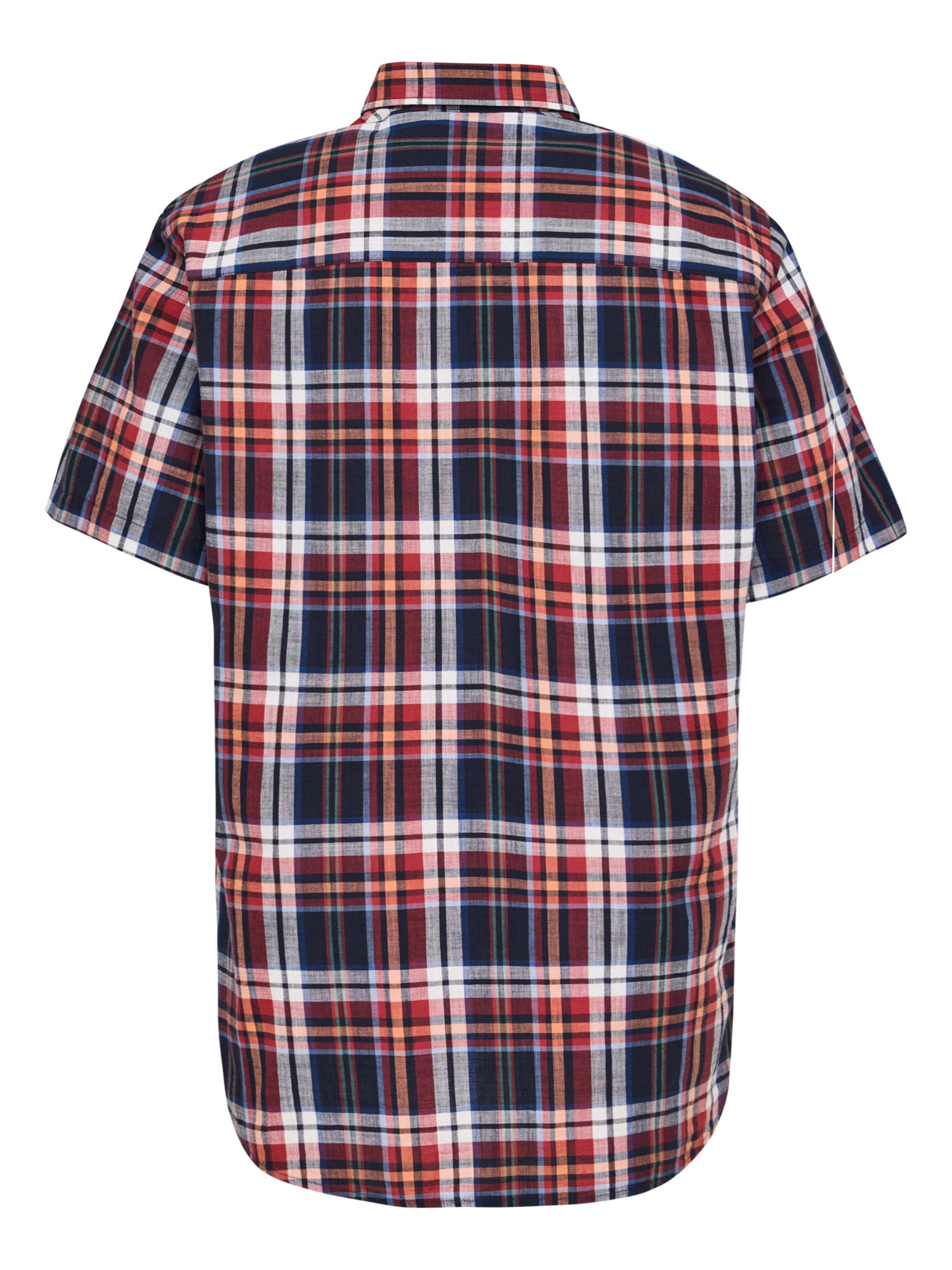 PADDOCKS Kurzarm Hemd Button Down - Cranberry Harbor Check - 33026 7465.1402