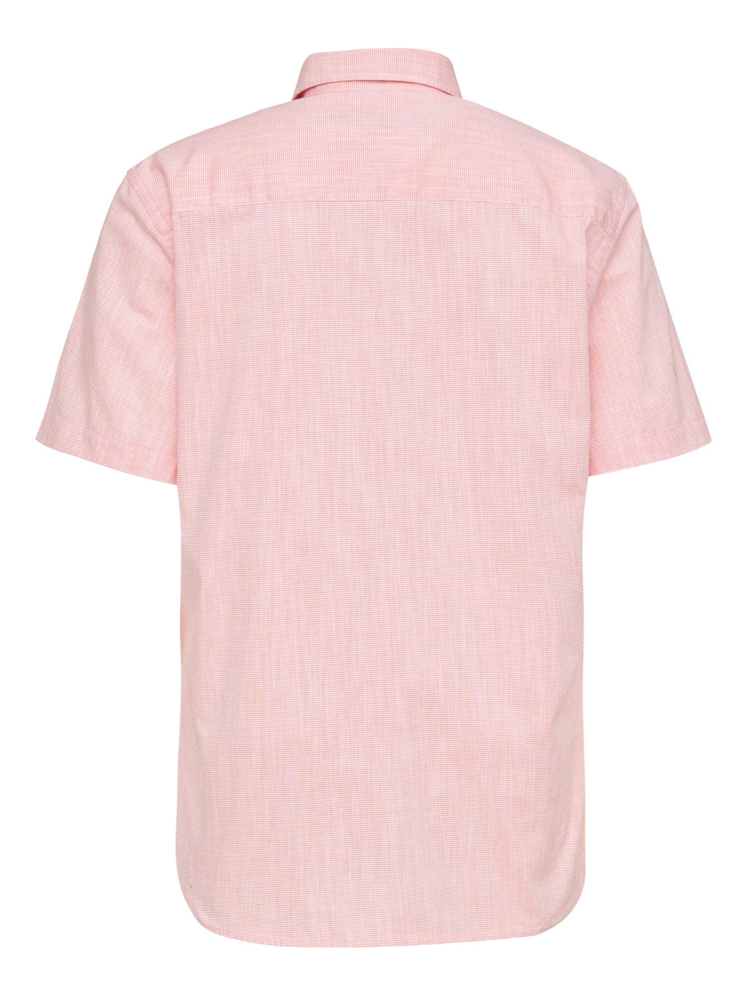 PADDOCKS Kurzarm Hemd Kent - Rose Whisper Stripe - 33027 7466.1447