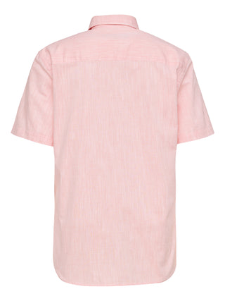 PADDOCKS Kurzarm Hemd Kent - Rose Whisper Stripe - 33027 7466.1447
