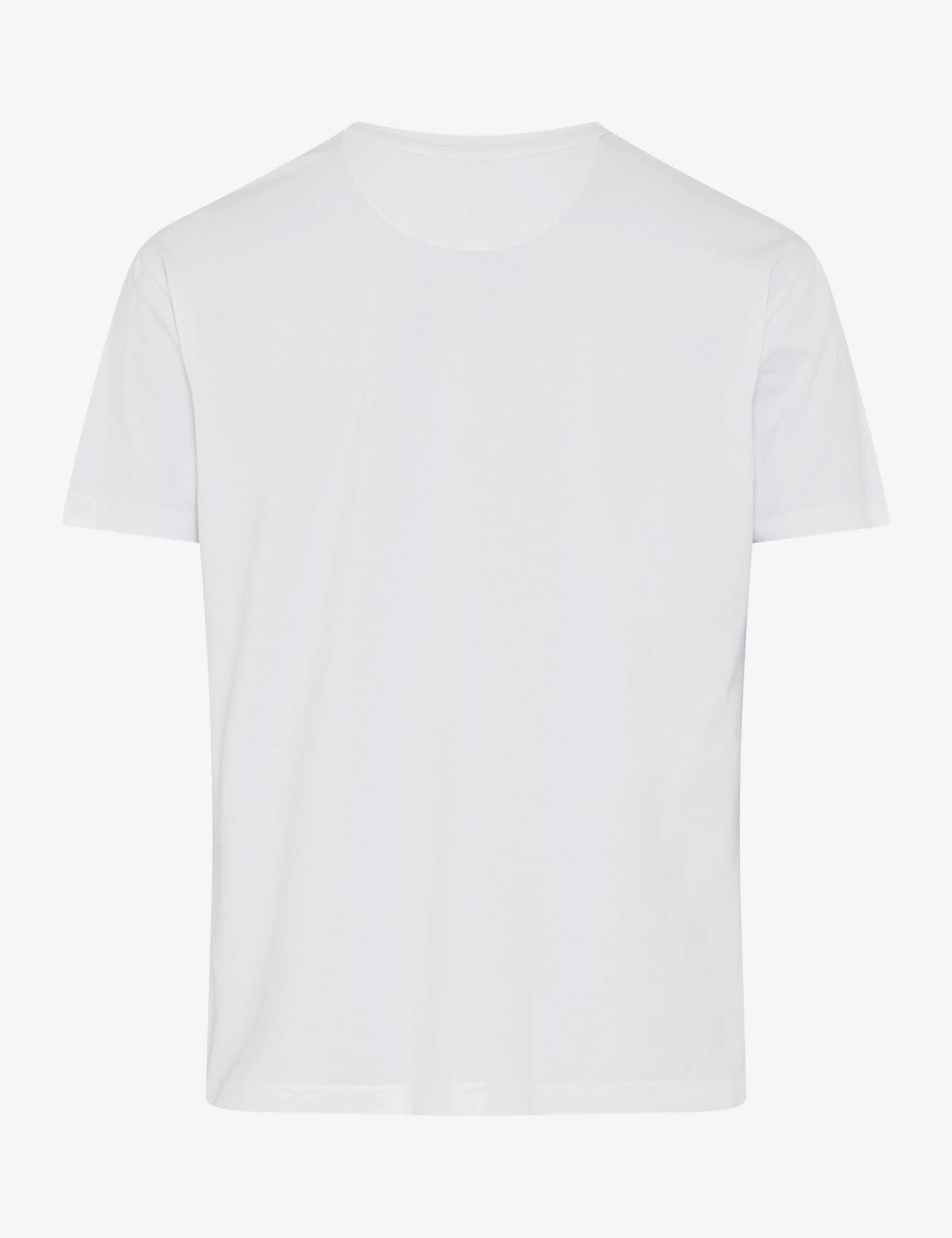 BRAX TED Kurzarm T-Shirt - Polar Breeze White - 70816100 20-4530-99 von BRAX