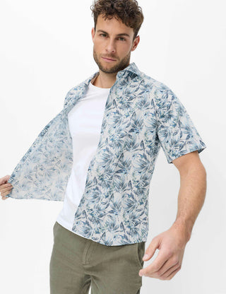 BRAX HARDY P herb 74421100 74-0082-37