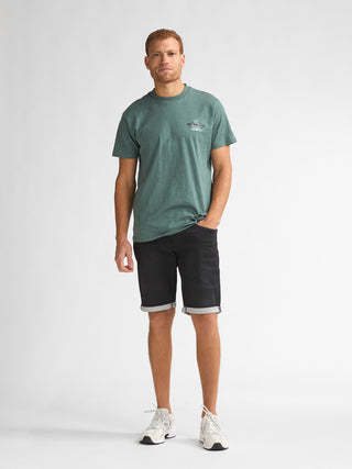 PETROL JACKSON SHORTS black stone 9705