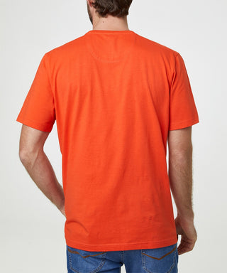 PIERRE CARDIN T-Shirt Rundhals fiesta 52370 1247.4695 - FUTUREFLEX